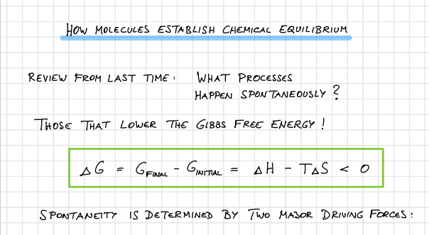 screenshot of pdf titled "how molecules establish chemical equilibrium"